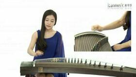 袁莎古筝教学视频免费,解锁古筝演奏的奥秘之旅