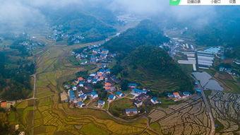 播州视频,探寻历史与现代交融的美丽画卷