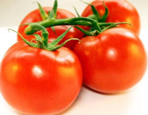 西红柿怎么打枝视频,西红柿高效打枝技巧解析