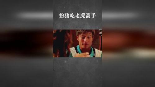 高手扮猪吃老虎视频,揭秘高手扮猪吃老虎的神秘面纱