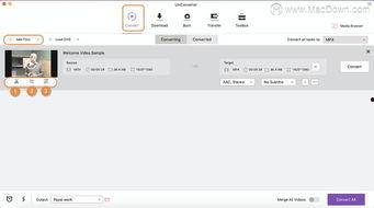 mac视频去水印,高效剪辑技巧揭秘