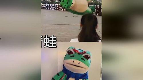 青蛙搞笑视频,萌态百出，笑料连连
