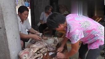 过年杀个女人视频