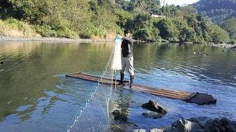 粘网网鱼视频,传统技艺与现代视角的完美融合