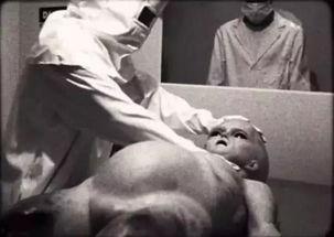 解剖外星人视频,神秘视频揭示未知生命奥秘