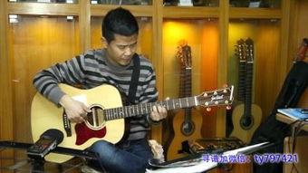 太阳花指弹视频