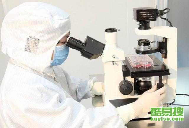 皮清洗视频,视频教学助你焕新皮革