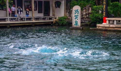 济南泉水视频,千年涌动，古城魅力画卷
