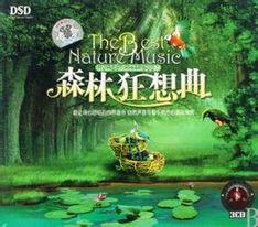 森林狂想曲视频,自然旋律中的心灵之旅