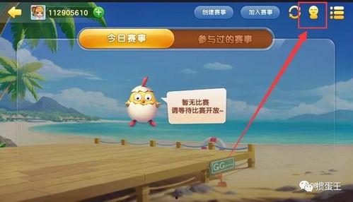 掼蛋视频教学,轻松掌握牌技，快乐竞技新体验