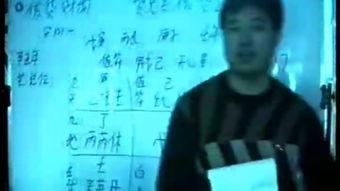 刘文元奇门遁甲视频