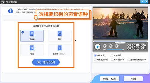 视频识别,捕捉瞬间，洞察世界